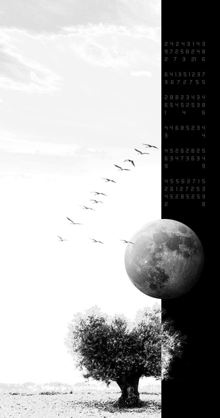 Parallel testimonies of a memory